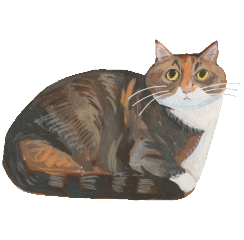 A little cat for you