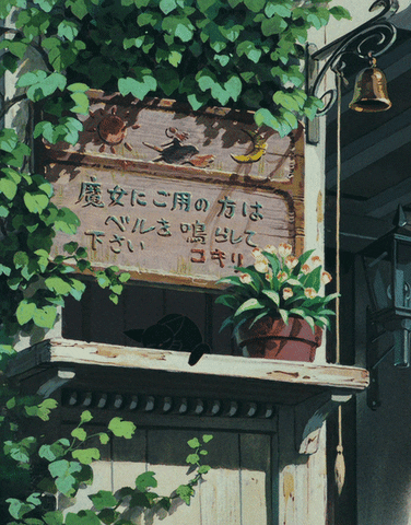 Cat in cafe